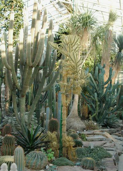 München - Botanischer Garten