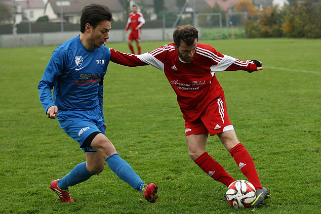 Sv Ingolstadt Sv Ingolstadt
